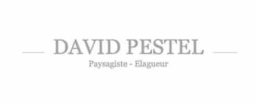 Logo Pestel Paysage