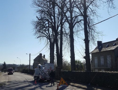 Concept Elagage à Saint-ouen-des-toits