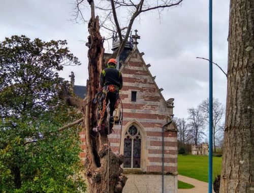 Paysagiste à Tourville, Les Jardins d'Augustin