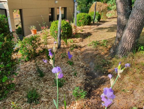 Jardin d'Avenir à Saint-Bonnet-prés-Riom