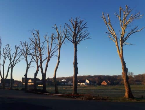 Côté Jardin à Vimy