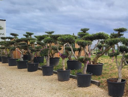 Gandrillon Paysage à Jaunay-Marigny