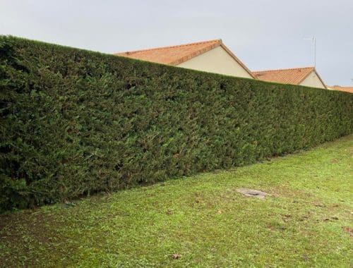 Gandrillon Paysage à Jaunay-Marigny