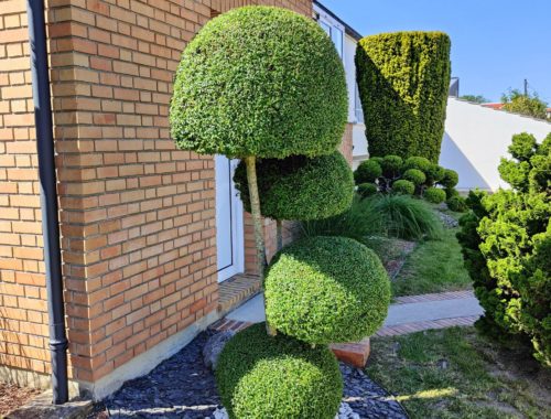 Jardin Passion à Saint-Brice-Courcelles