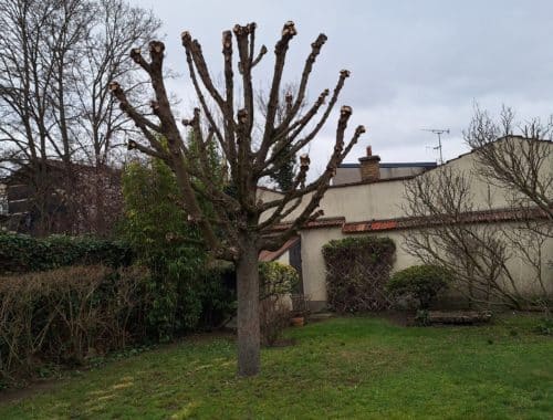 Jardin Passion à Saint-Brice-Courcelles