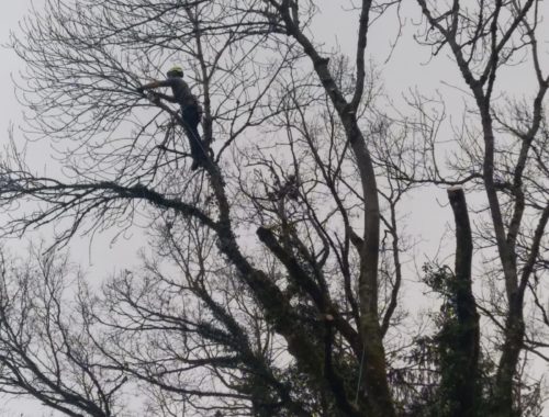 ID Jardins, paysagiste à Fillière