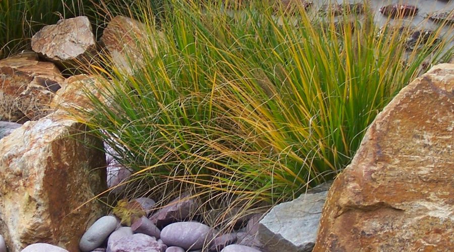 Paysagiste à St Jacques, AJIEnvironnement