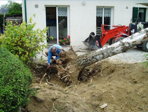 Elagueur Atout Arbre à Cordemais