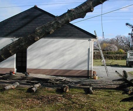 Elagueur Atout Arbre à Cordemais