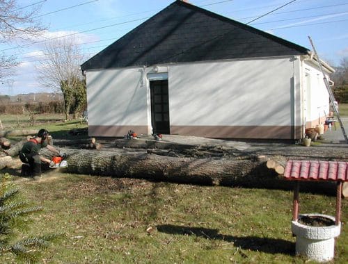 Elagueur Atout Arbre à Cordemais